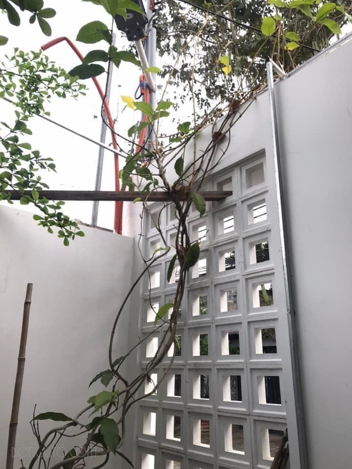 Gạch Thông Gió Ô Vuông: Giải Pháp Tối Ưu Cho Nhà Ở Vùng Nhiệt Đới 40 gach thong gio o vuong 4