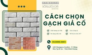 Cách Chọn Gạch Giả Cổ Xu Hướng Gia Chủ Có Thể Tham Khảo 126 Cách chọn gạch giả cổ