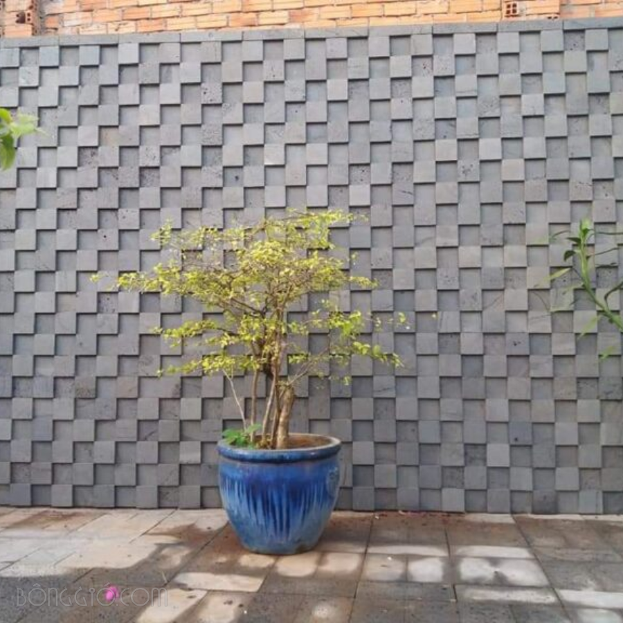 Đá ghép 3D tổ ong TP01 CTS-DOT-TN-25 4 Đá ghép 3D tổ ong TP01 CTS-DOP-TN-25