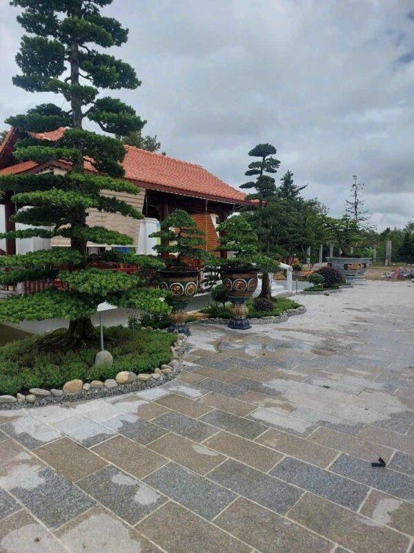 Đá lát sân đỏ bình định khò CTS-DLS-37 14 Đá lát sân đỏ bình định khò CTS-DLS-37