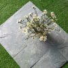 Đá xanh hải dương lồi 10×20 ốp tường trang trí CTS-DOT-NK-10 5 Đá xanh hải dương lồi 10×20 ốp tường trang trí CTS-DOT-NK-10