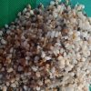 Sỏi biển trang trí lọc nước CTS-SSV-1 4 Sỏi biển trang trí lọc nước CTS-SSV-1