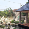 Đá tự nhiên làm hồ cá koi CTS-DPT-2 35 Đá tự nhiên làm hồ cá koi CTS-DPT-2