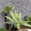 Đá Răng Lược Đen 10x20cm CTS-DOT-DRL-04 9 Đá Răng Lược Đen 10x20cm CTS-DOT-DRL-04