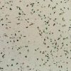Gạch đá mài Thủy tinh xanh và nâu phối đá trắng 6-9mm nền trắng ST01-TTKN69 4 Gạch đá mài Thủy tinh xanh và nâu phối đá trắng 6-9mm nền trắng ST01-TTKN69