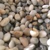 Sỏi trắng ngà trang trí sân vườn CTS-SSV-24 3 Sỏi trắng ngà trang trí sân vườn CTS-SSV-24