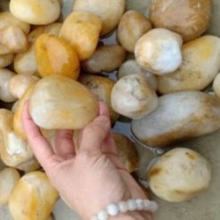 Mẫu Sân Vườn Rải Sỏi Tự Nhiên Đẹp, Giải Quyết Triệt Để Bài Toán Thoát Nước 95 Sỏi vàng bóng trang trí sân vườn xuất khẩu CTS-SSV-26