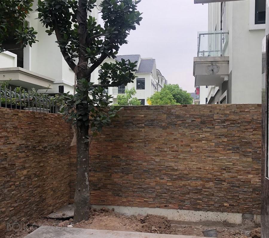 Đá ghép slate vàng Đà Nẵng CTS-DOT-DG-08 34 Đá ghép slate vàng Đà Nẵng CTS-DOT-DG-08