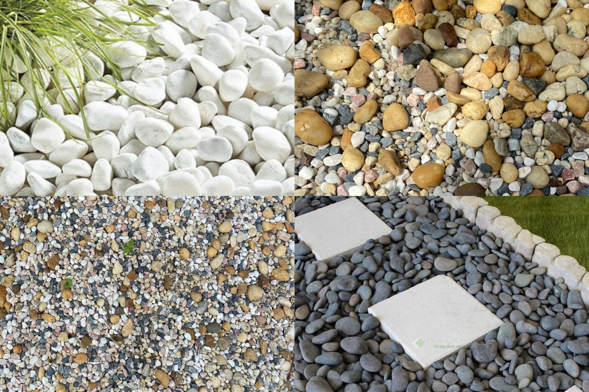 Các loại đá rải sỏi sân vườn đẹp Các loại đá rải sỏi sân vườn đẹp