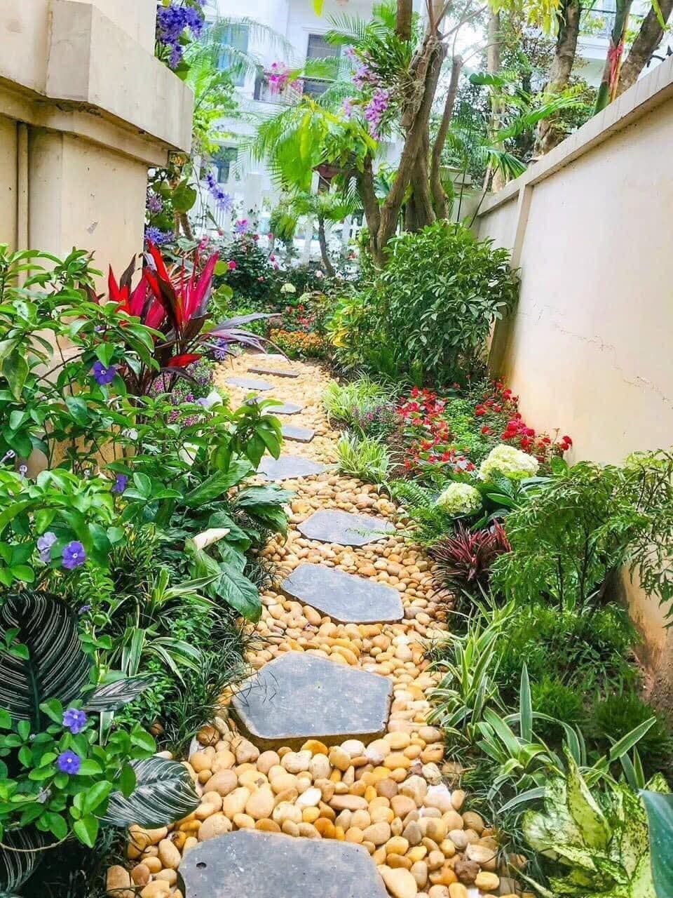 Đường đi sân vườn rải sỏi Đường đi sân vườn rải sỏi