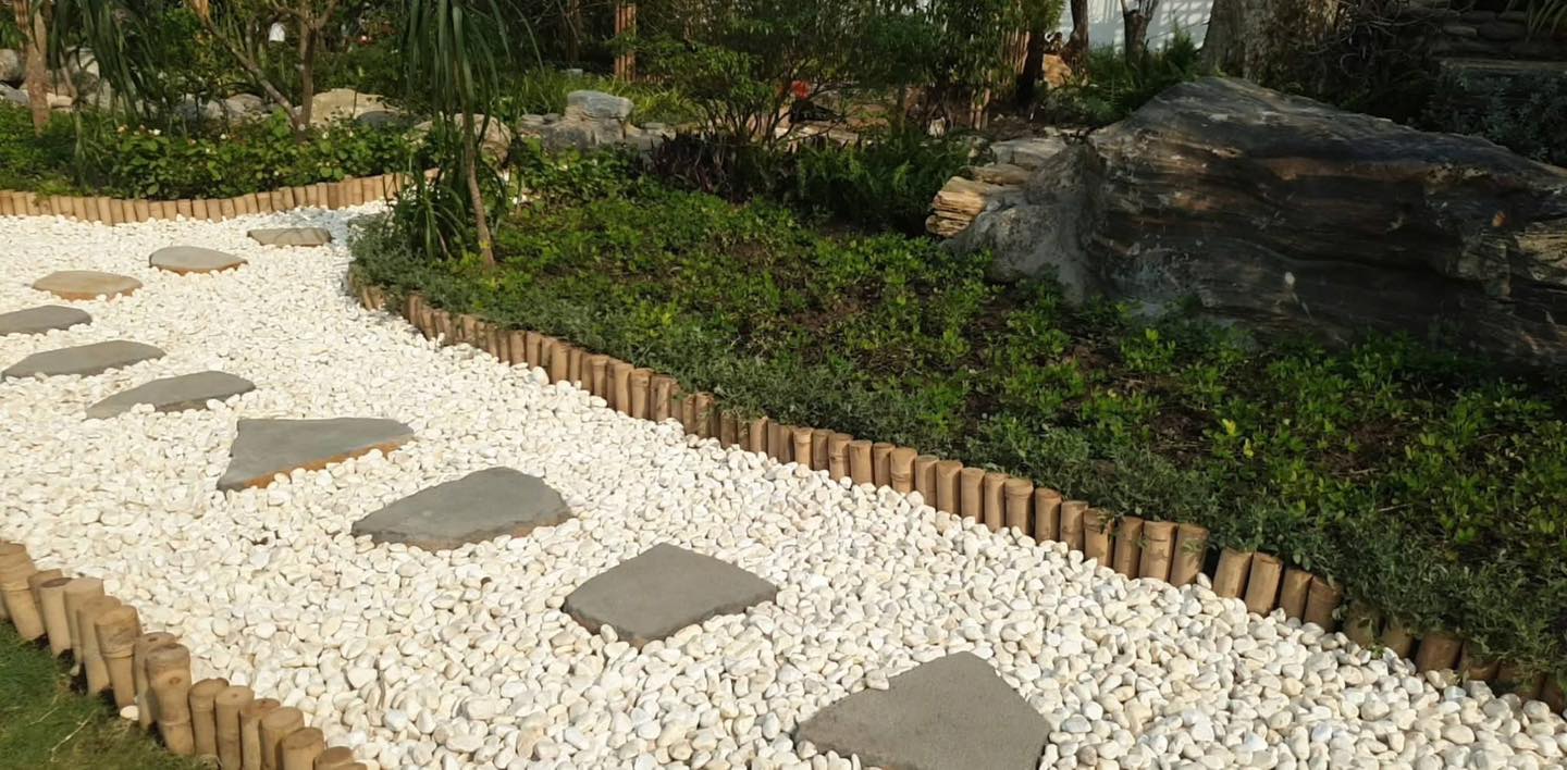 Lối đi sân vườn rải sỏi trắng kết hợp lát đá tự nhiên Lối đi sân vườn rải sỏi trắng kết hợp lát đá tự nhiên