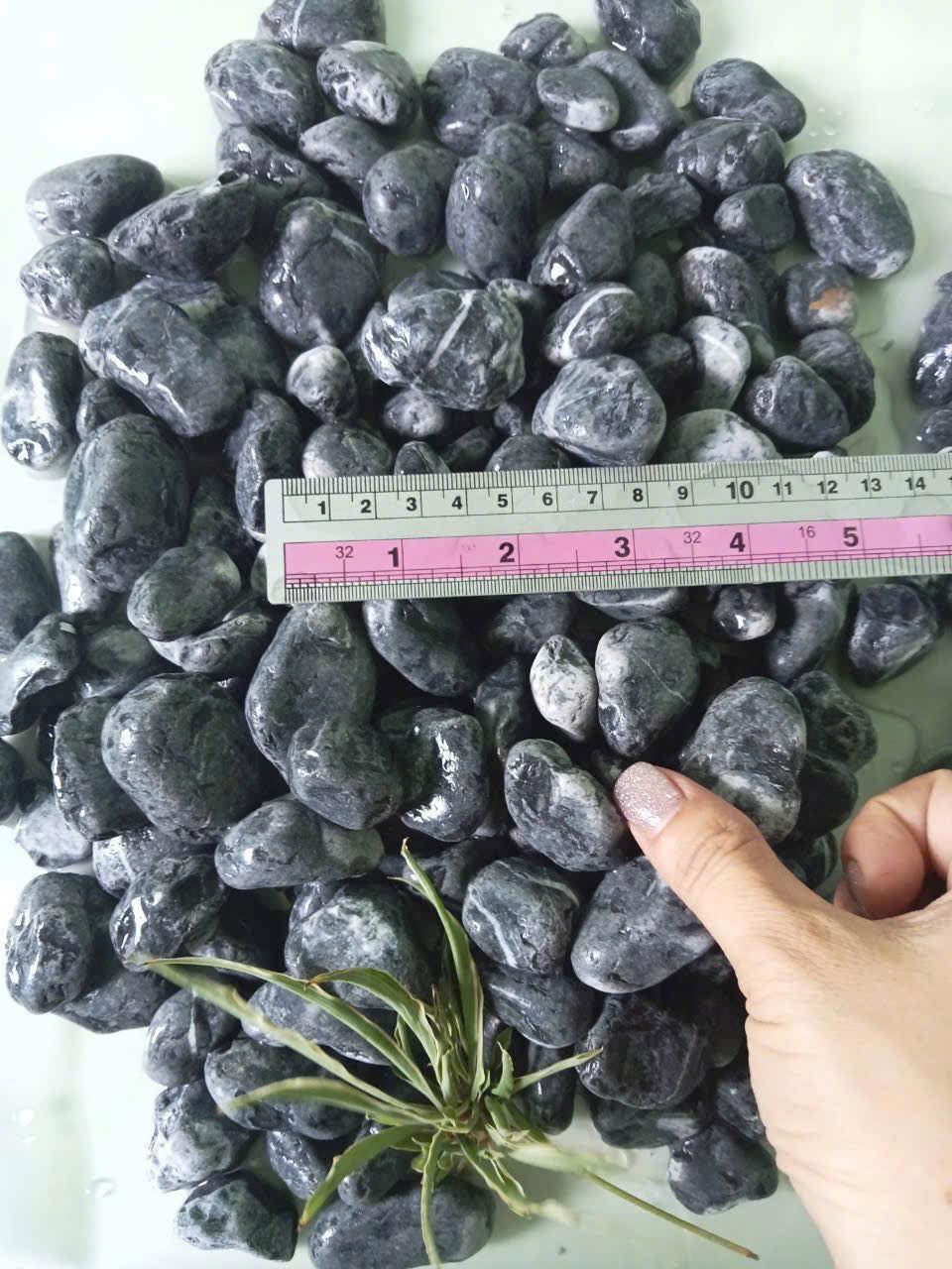 Sỏi biển đen rải sân vườn Sỏi biển đen rải sân vườn