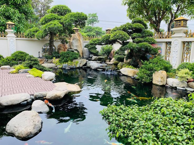 Đá Cổ Thạch Đẹp, Cao Cấp Cho Hòn Non Bộ, Hồ Cá Koi,... 32 Đá cổ thạch